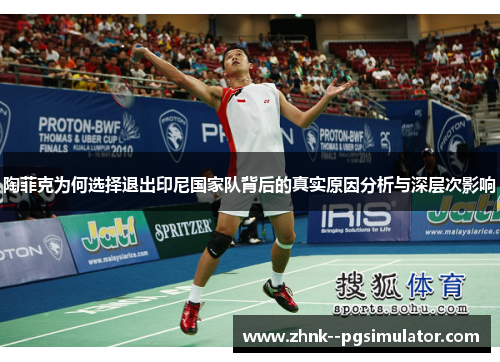 陶菲克为何选择退出印尼国家队背后的真实原因分析与深层次影响