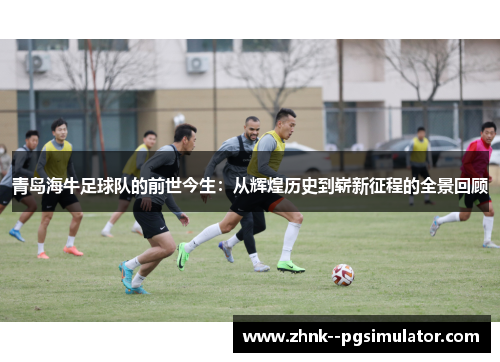 青岛海牛足球队的前世今生：从辉煌历史到崭新征程的全景回顾