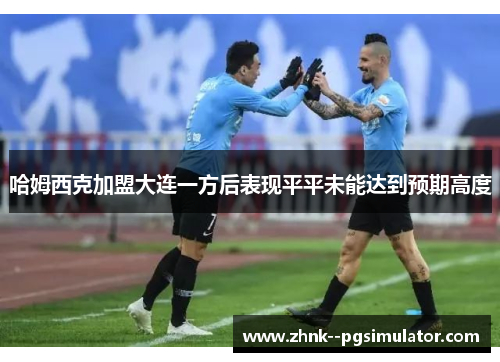 哈姆西克加盟大连一方后表现平平未能达到预期高度 哈姆西克加盟大连一方后表现平平未能达到预期高度